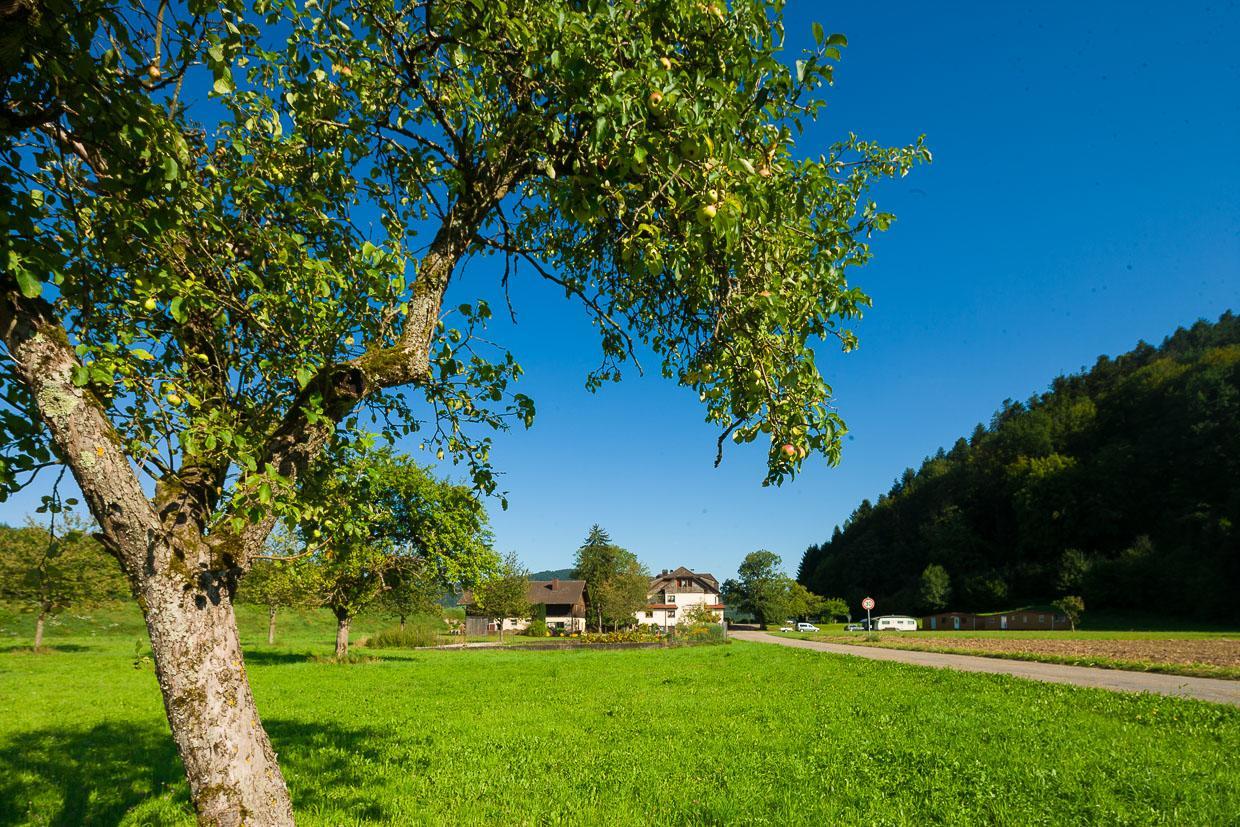 Landgasthof Kinzigstrand 비베라흐 외부 사진